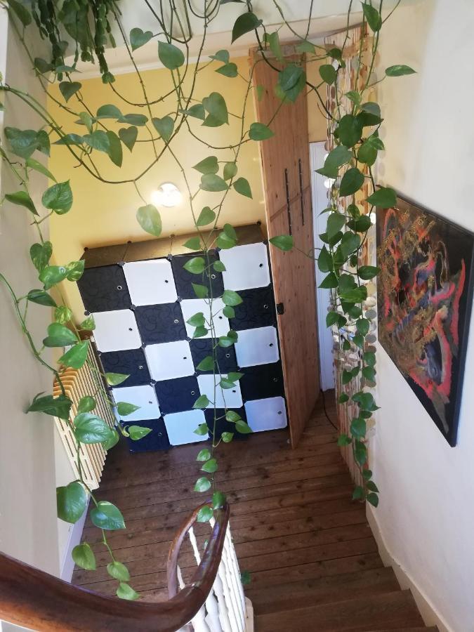 La Chambre D'Hote De Christelle Daire Cherbourg-en-Cotentin Dış mekan fotoğraf